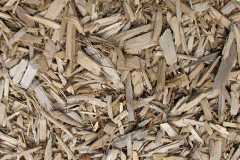 biomass boilers Woolbeding